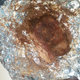 Image for article titled How To Cook A Delicious Meal With Your Car